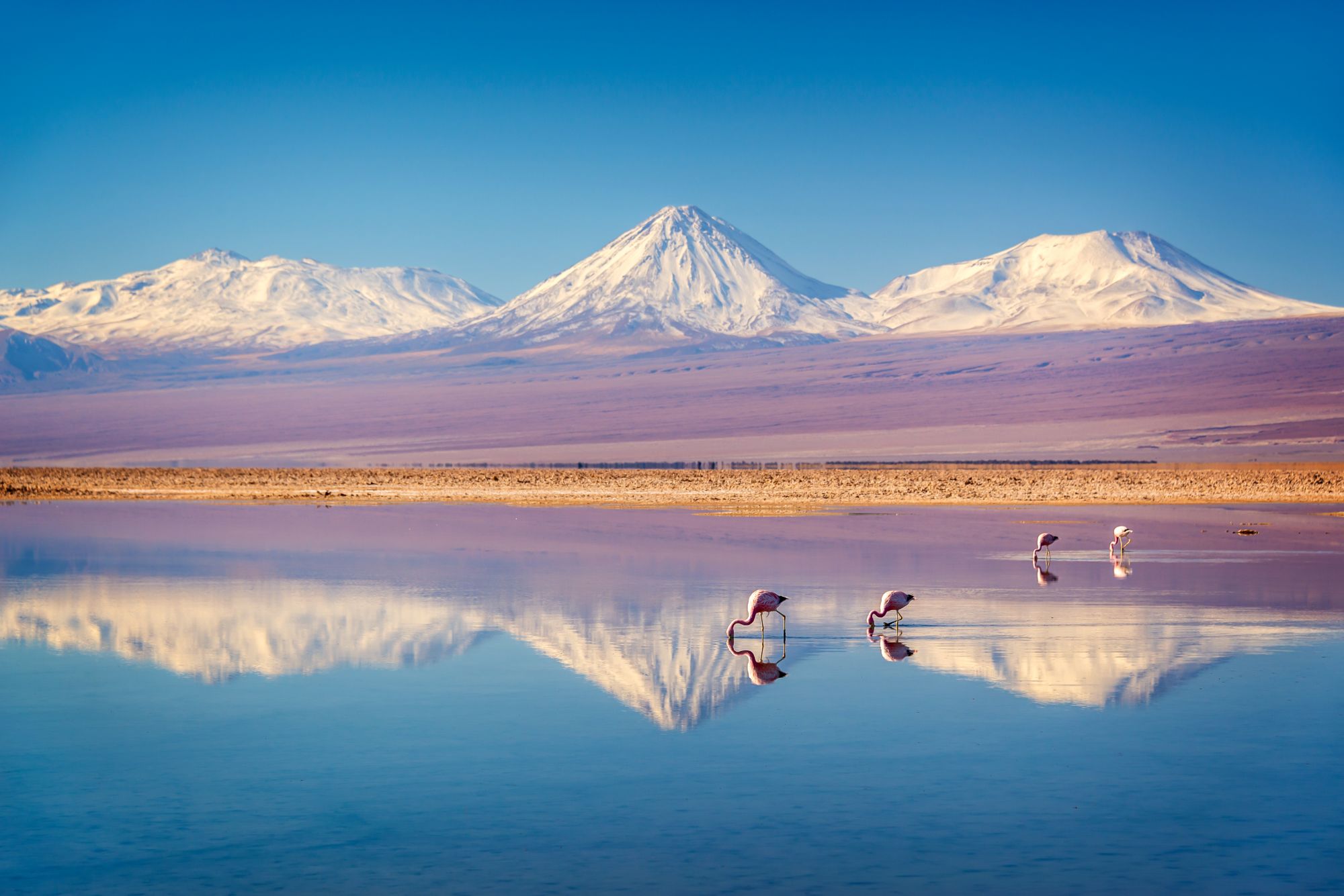 CILE DESERTO ATACAMA TUTTALTROMONDO