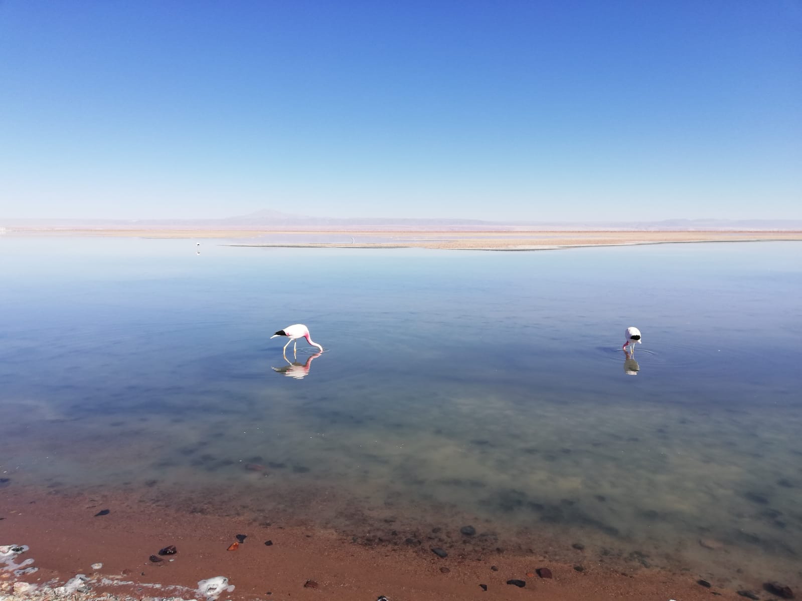 LAGUNA MISCANTI CILE CORBELLINI TUTTALTROMONDO