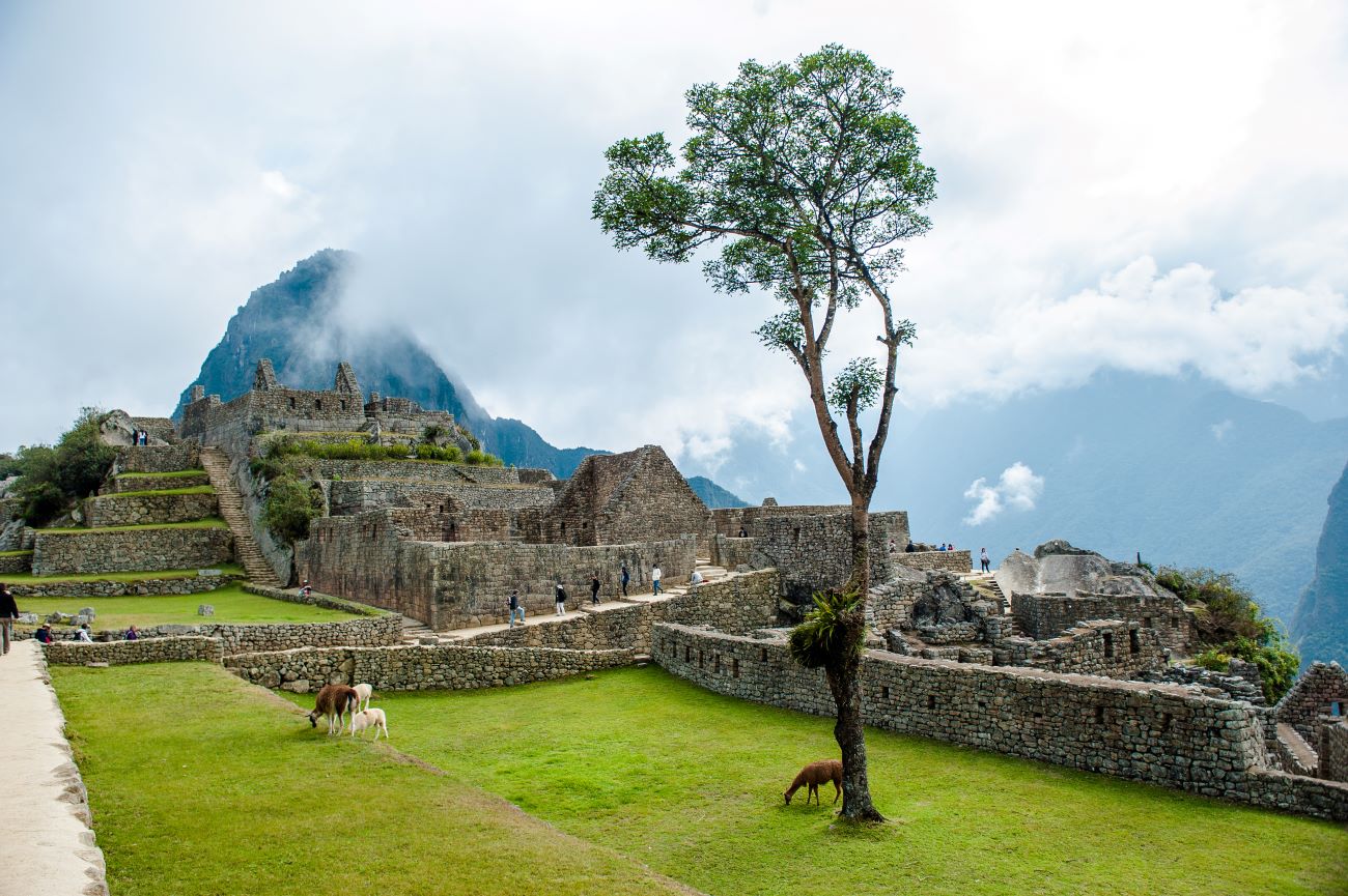 Perù - Machu Picchu - Tuttaltromondo