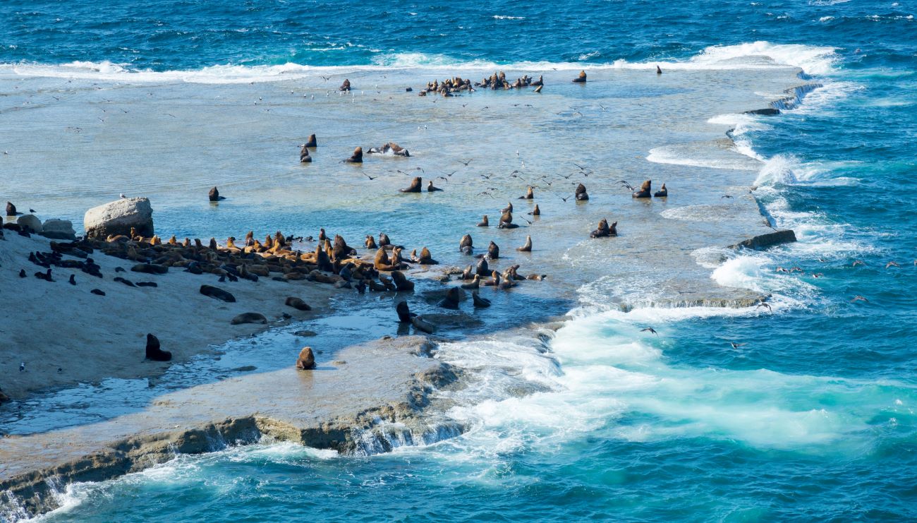 PENINSULA VALDES ARGENTINA TUTTALTROMONDO