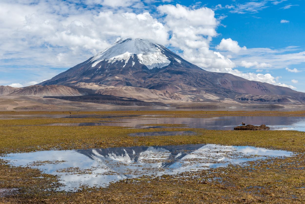 PARCO NAZIONALE LAUCA VULCANO PARINACOTA TAM