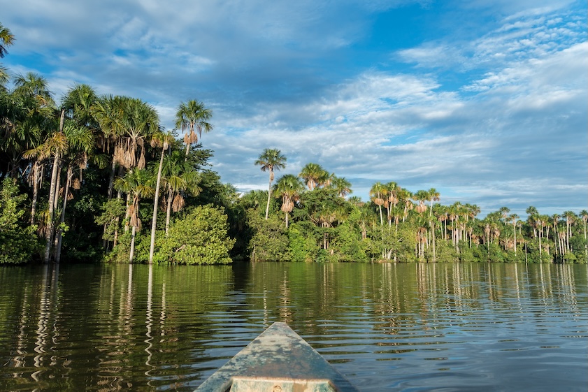 Perù - Amazzonia - Lago Sandoval - tramonto - Tuttaltromondo