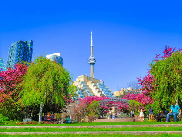 TORONTO-TAM