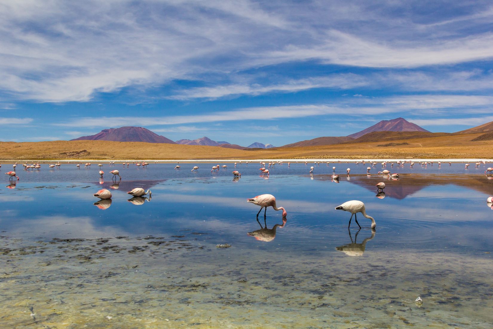 LAGUNA CANAPA BOLIVIA TUTTALTROMONDO