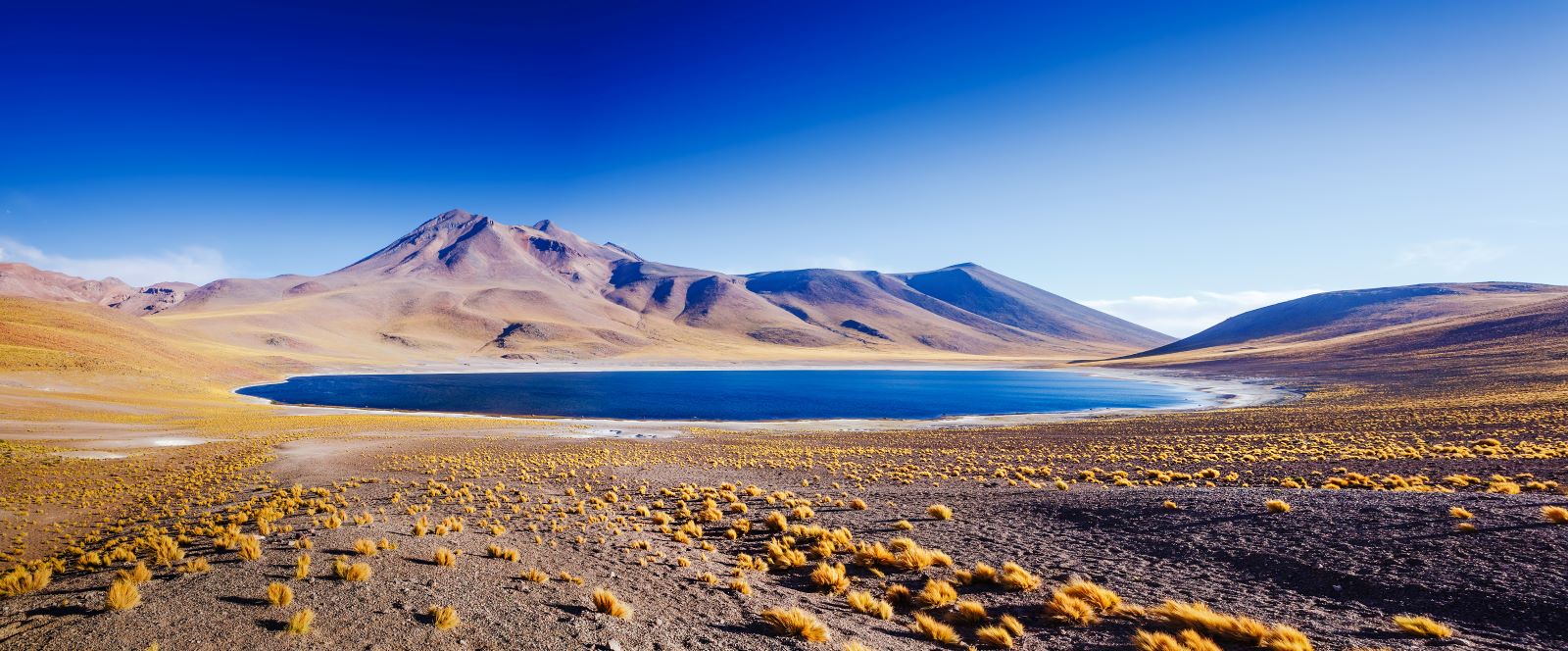 LAGUNA MISCANTI TAM