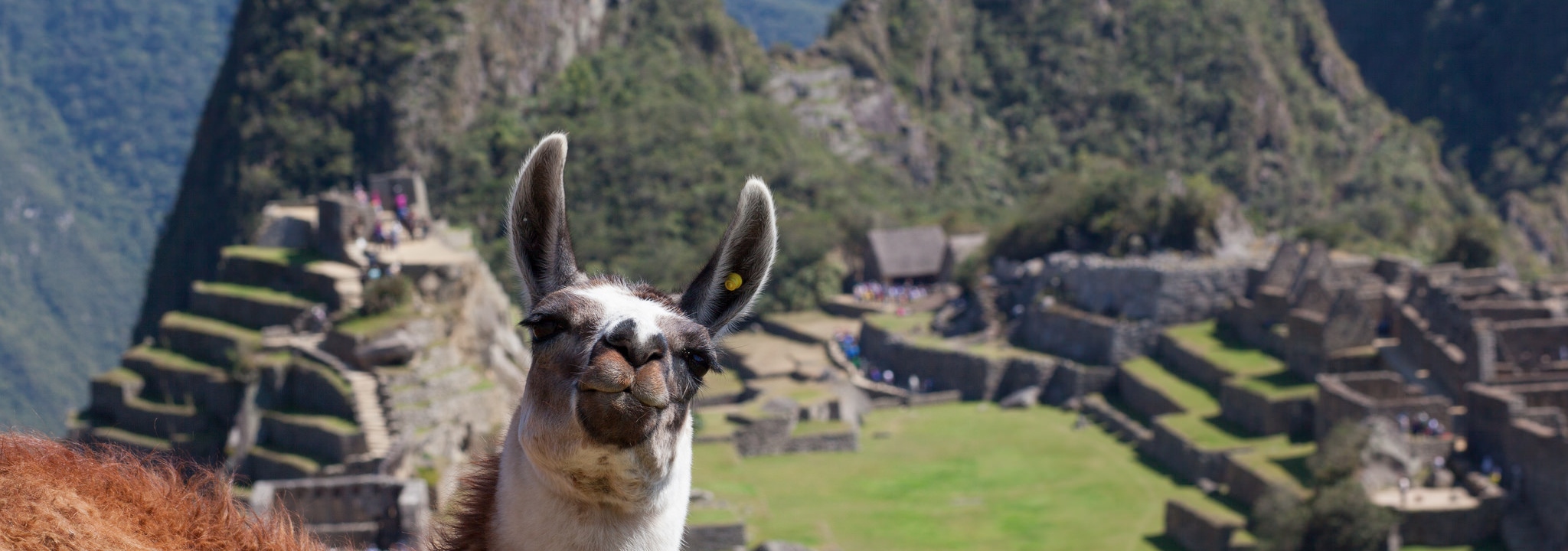 Machu Picchu
