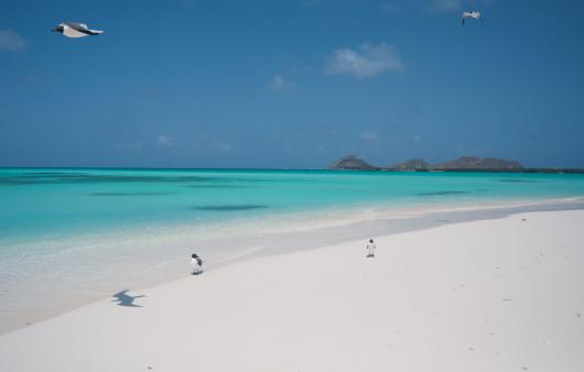 LOS ROQUES VENEZUELA TUTTALTROMONDO